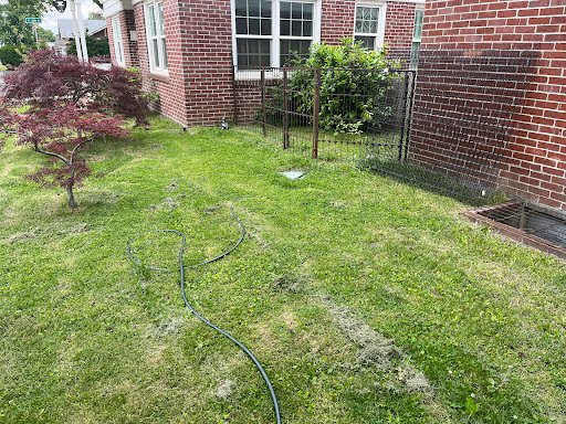 Photo from customer review